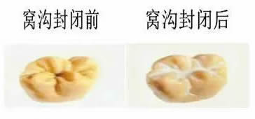 微信圖片_20211209092550.jpg