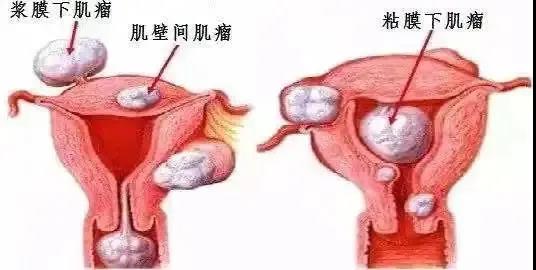 微信圖片_20220214160606.jpg