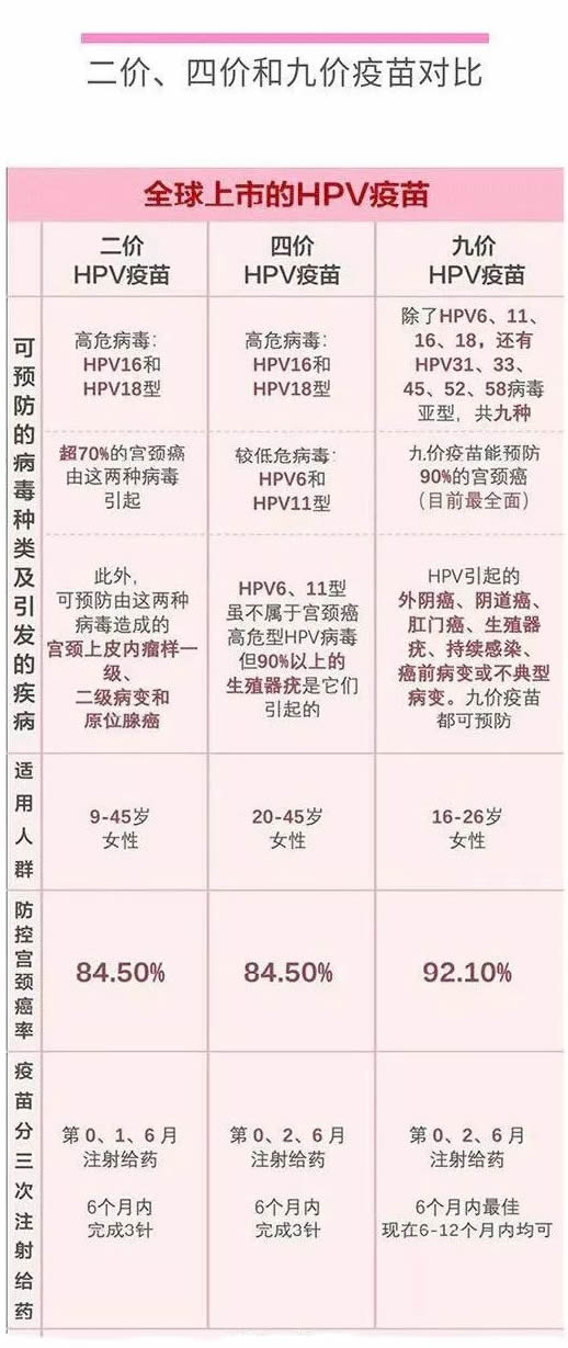 圖片2.jpg