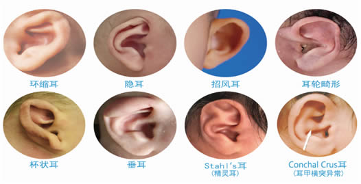 微信圖片_20220715094152.jpg