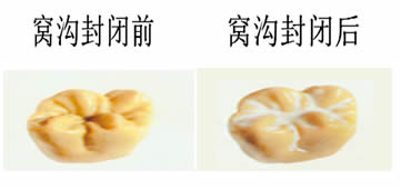 微信圖片_20220921151918.jpg