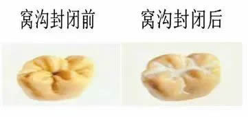 微信圖片_20230420121002.jpg