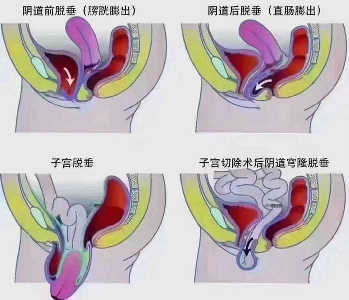 微信圖片_20240730134019.jpg