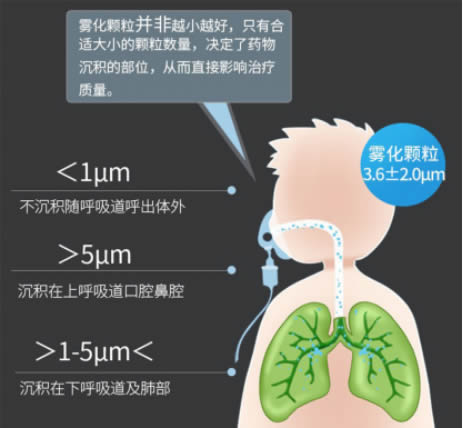微信圖片_20241210175949.jpg
