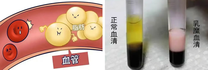微信圖片_20241213143637.jpg