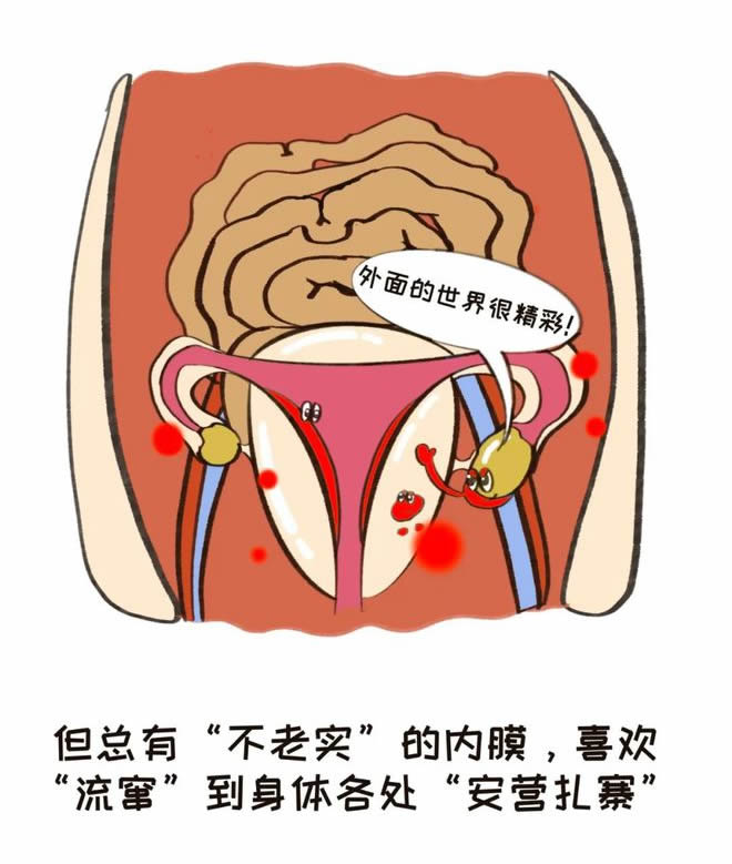微信圖片_20250401111212.jpg