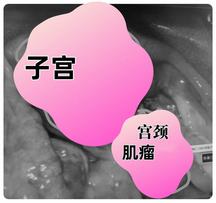 微信圖片_20250401165014.jpg
