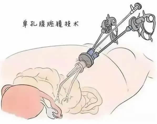 微信圖片_20250401165020.jpg