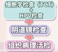 微信圖片_20250429225829.jpg