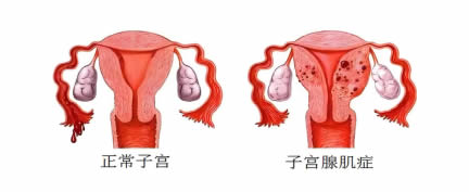 微信圖片_20250521172547.jpg